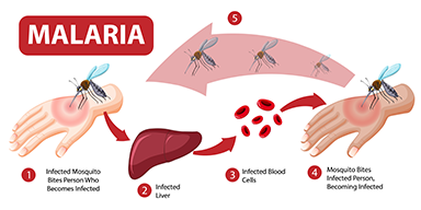 Medical team discussing patient care in hospital corridor