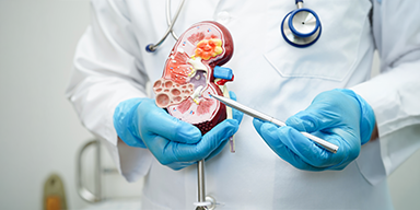 Doctor consulting a patient in a bright hospital room