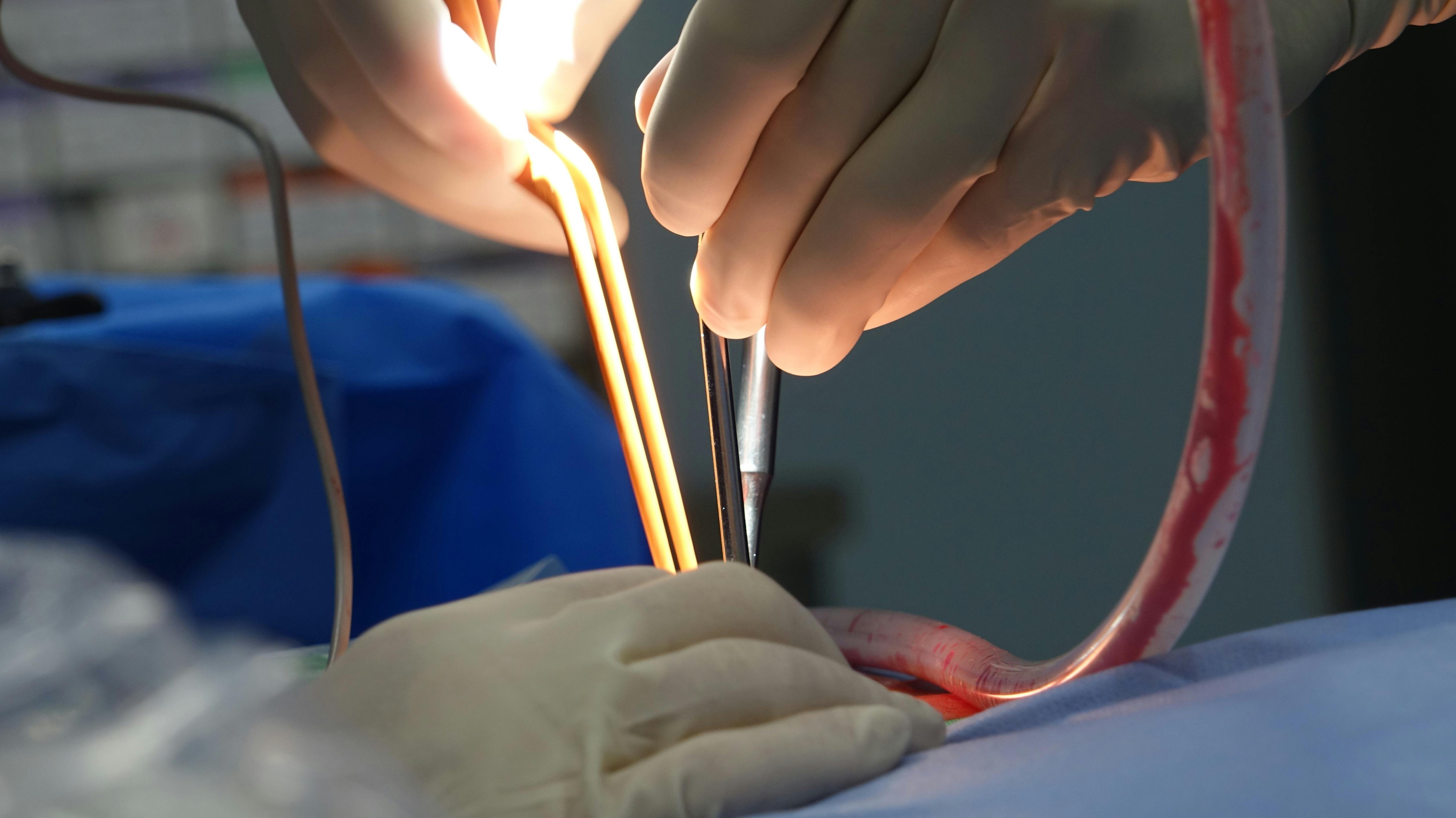 Professional dermatologist examining skin in hospital clinic